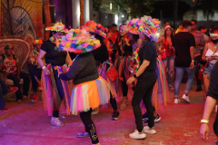 DSC05456