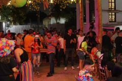 DSC05459