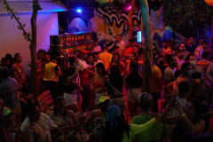 DSC05724